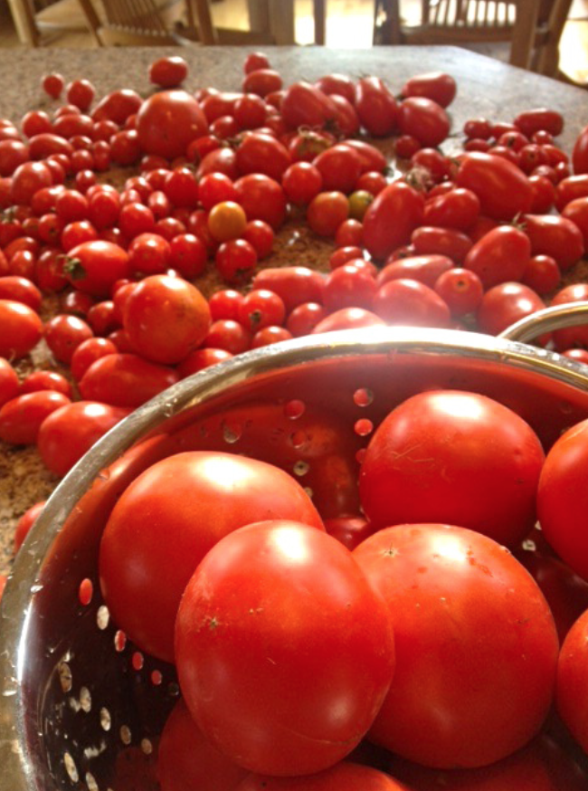 Screen Shot 2016-06-27 at 8.33.42 PM