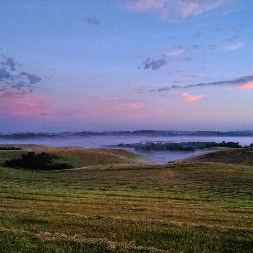 13754571_1180273102022933_6739863628557373995_n