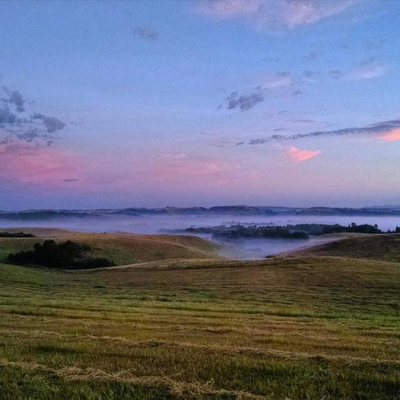 13754571_1180273102022933_6739863628557373995_n