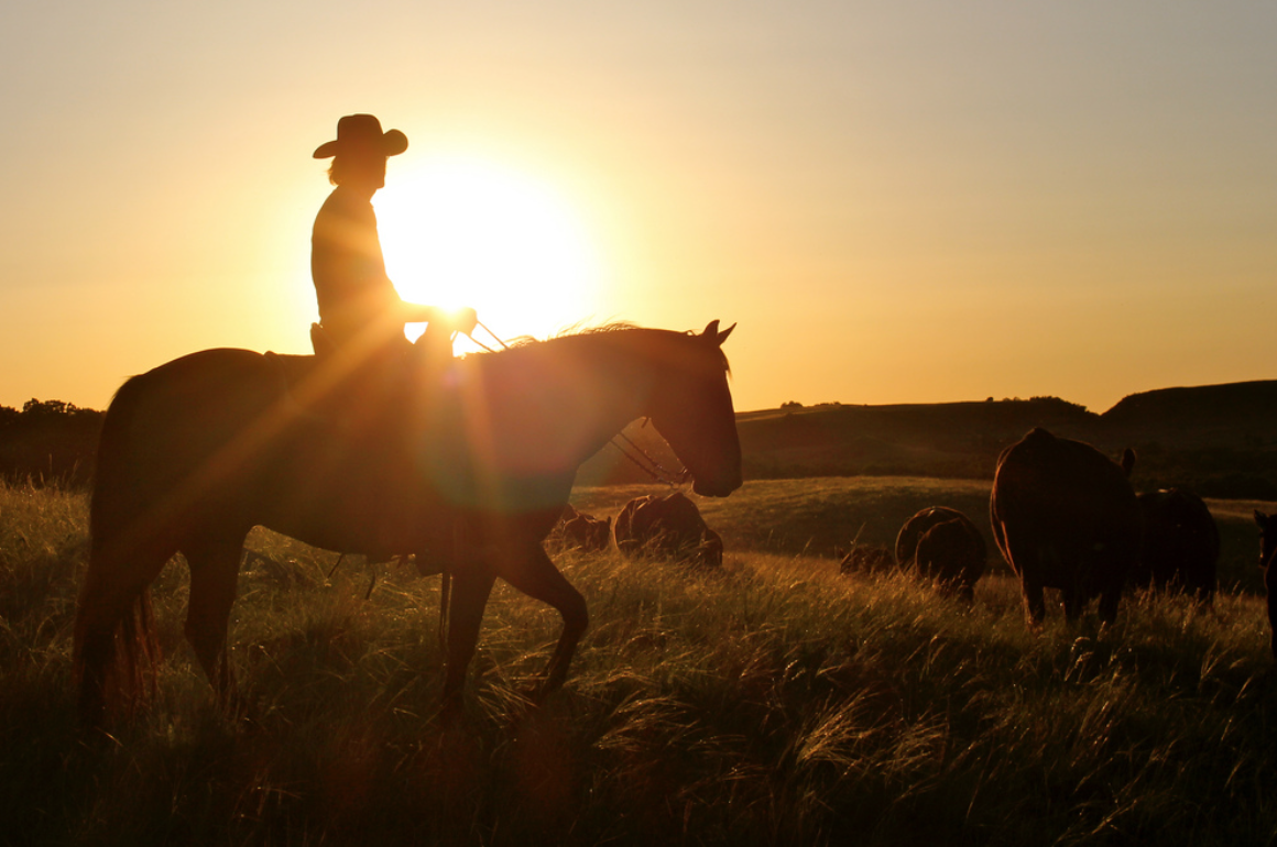 Screen Shot 2016-07-25 at 11.44.31 AM