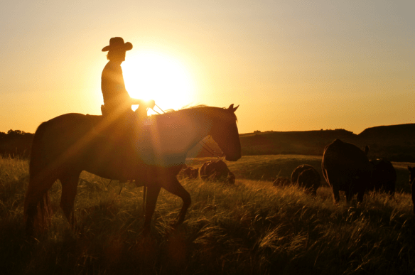 Screen Shot 2016-07-25 at 11.44.31 AM