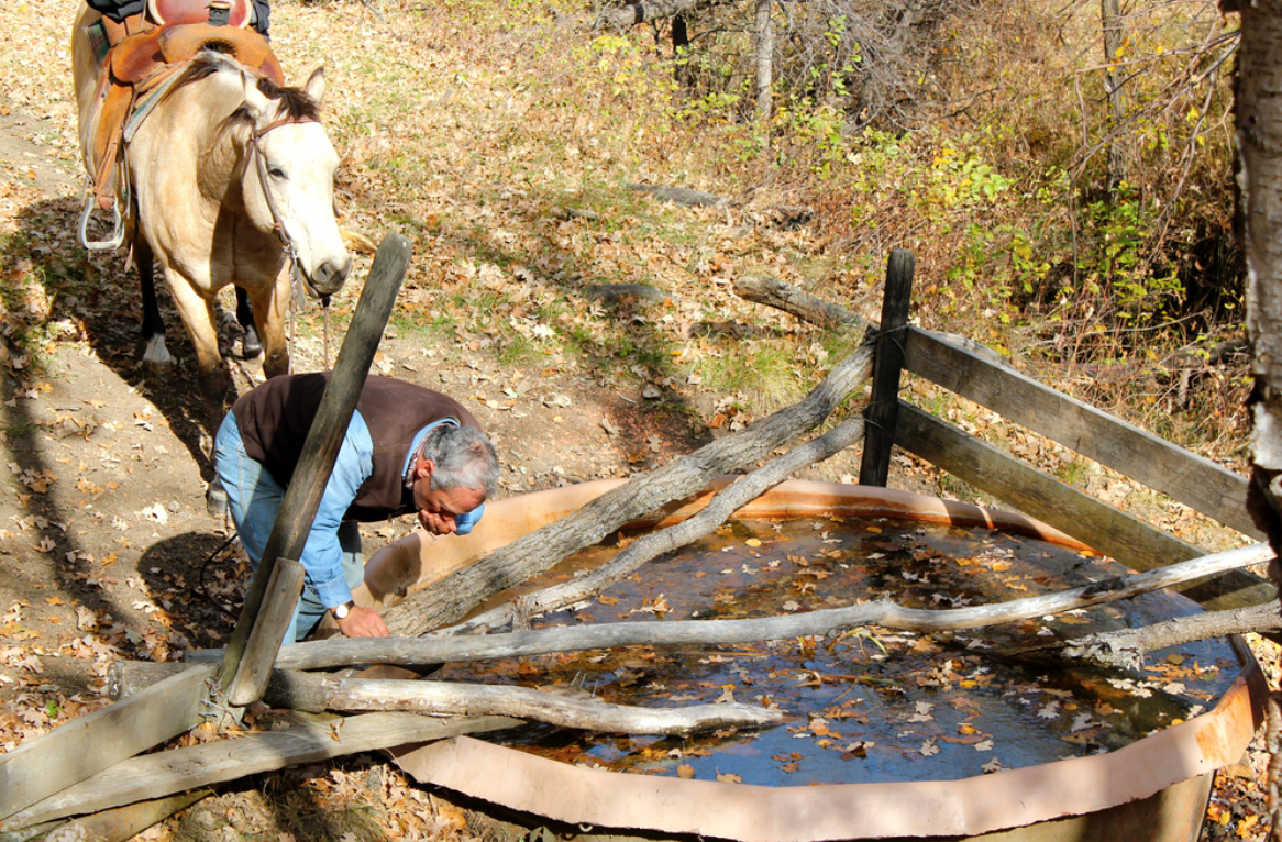 Screen Shot 2016-07-25 at 11.53.38 AM