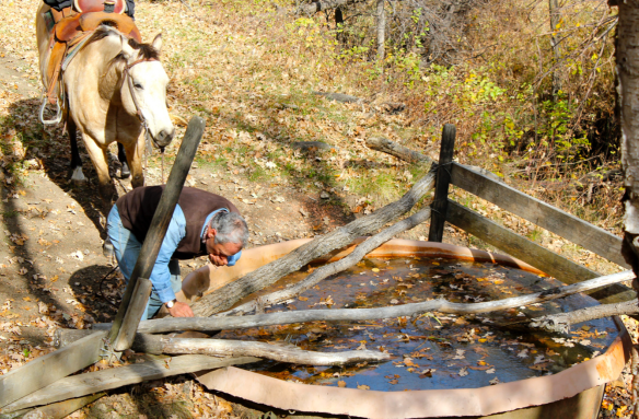 Screen Shot 2016-07-25 at 11.53.38 AM