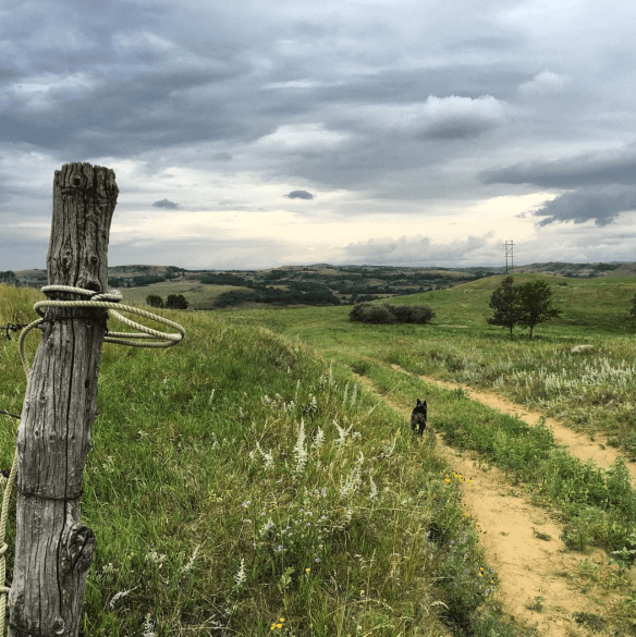 Screen Shot 2016-07-29 at 8.53.58 AM