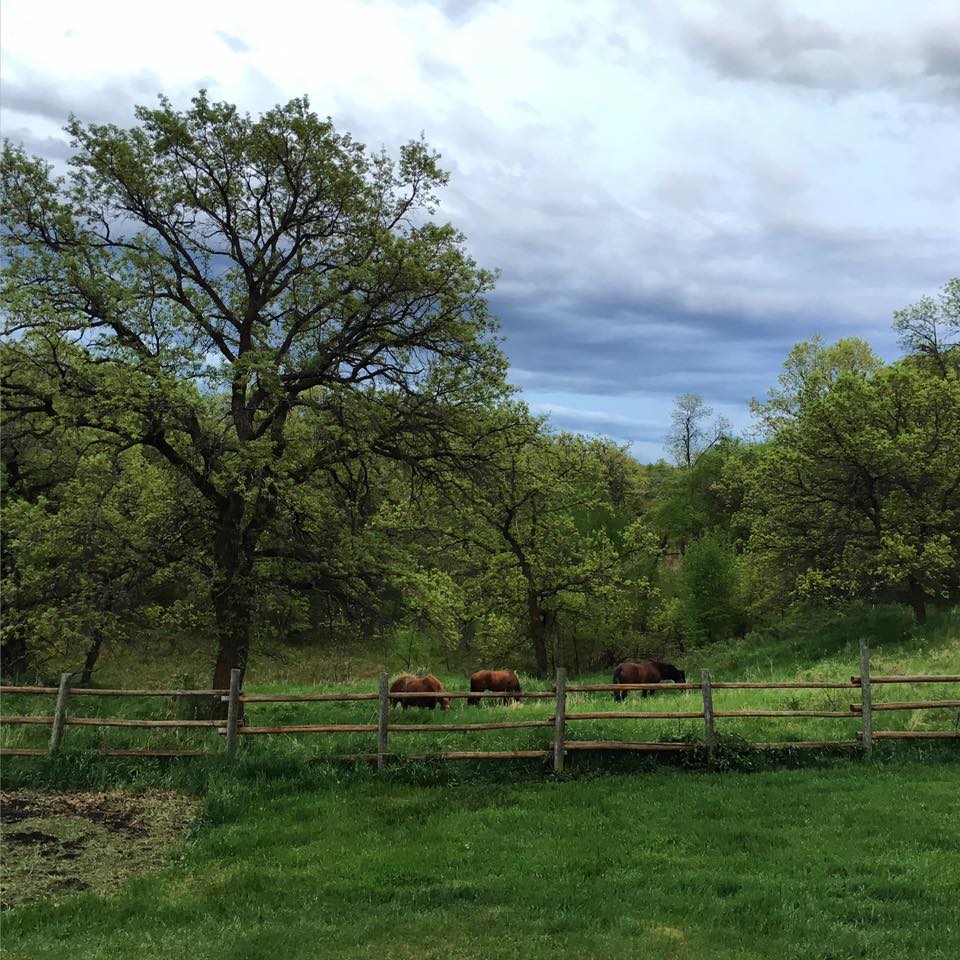 10169197_1138385399545037_2426397459698726790_n