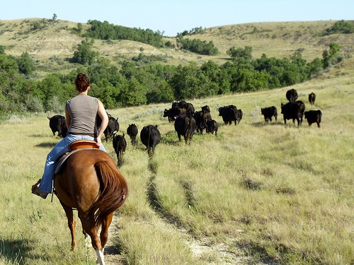 7699173958_525f9409bf