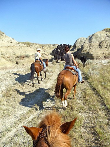 7699201114_a6ef514f16