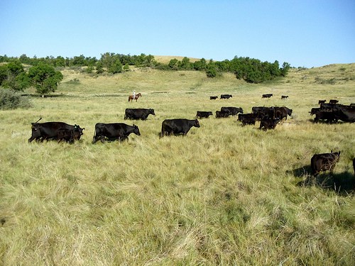 7699295336_5baf5753e4