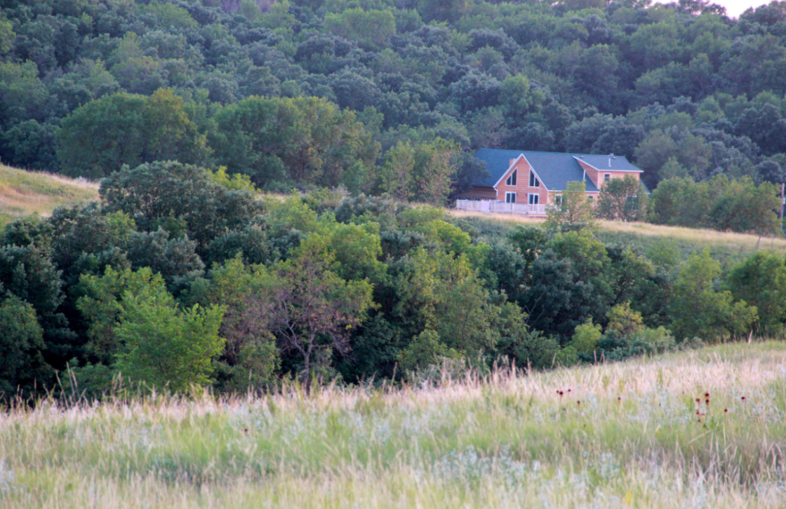 Screen Shot 2016-08-08 at 3.17.45 PM