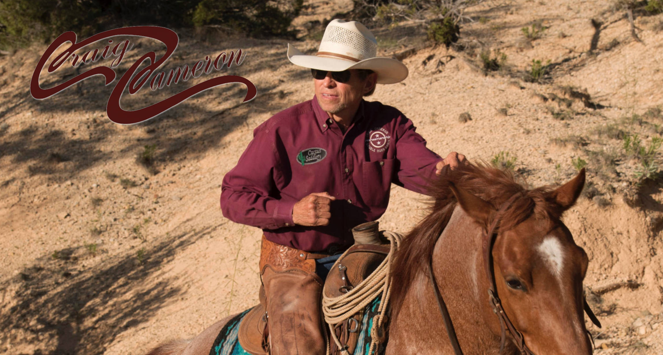 screen-shot-2016-09-12-at-10-08-09-pm