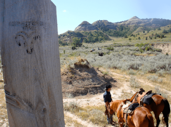 screen-shot-2016-09-12-at-10-12-50-pm