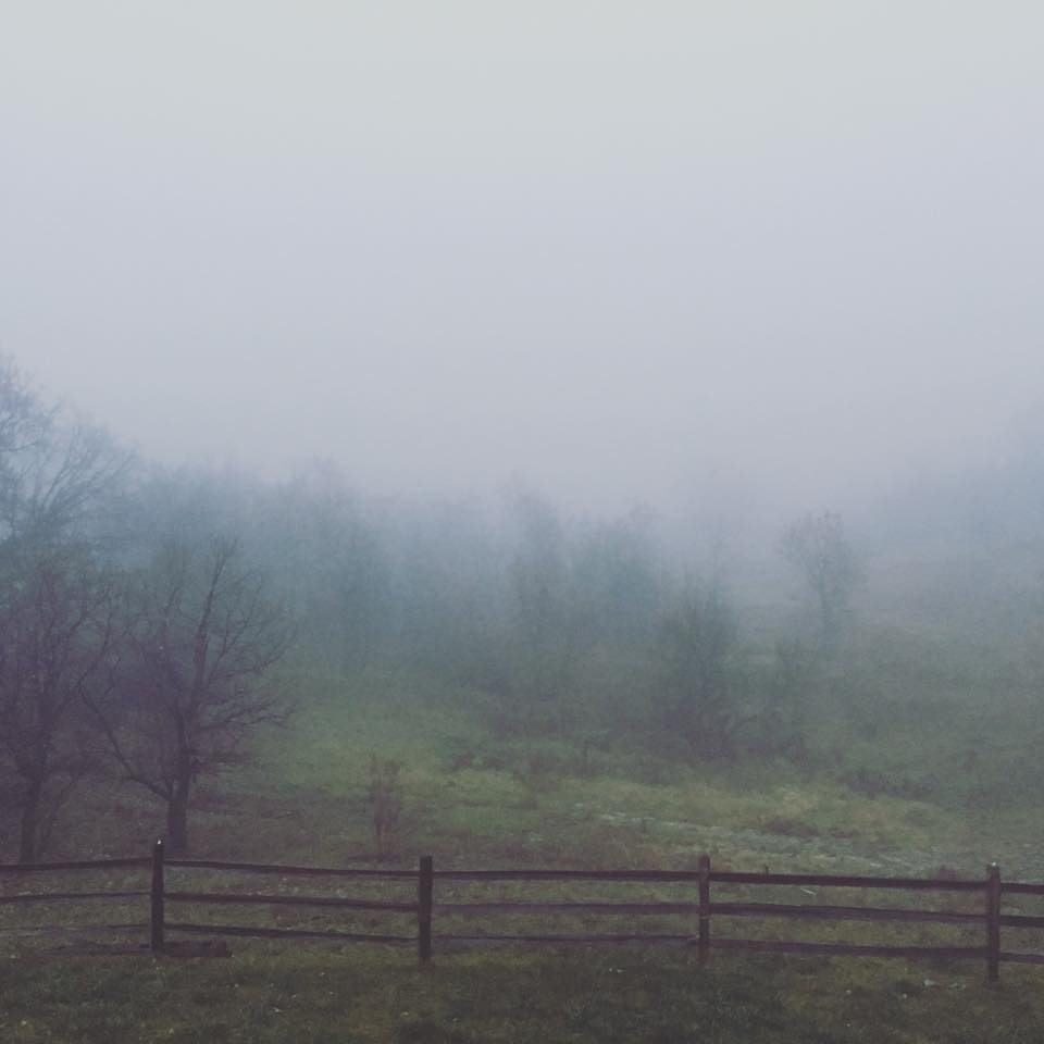 14908169_1267910663259176_2667717613576470253_n