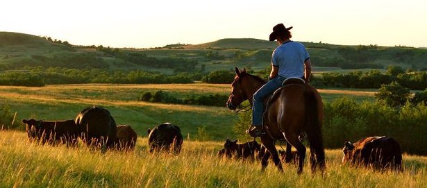 293916_219814638068789_425031_n