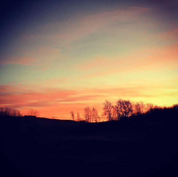 screen-shot-2016-11-11-at-8-07-46-am