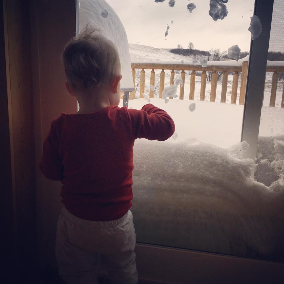 15219376_1302427063140869_586870686600361277_n