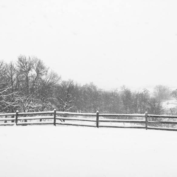 15284966_1301318163251759_5050630394759059186_n