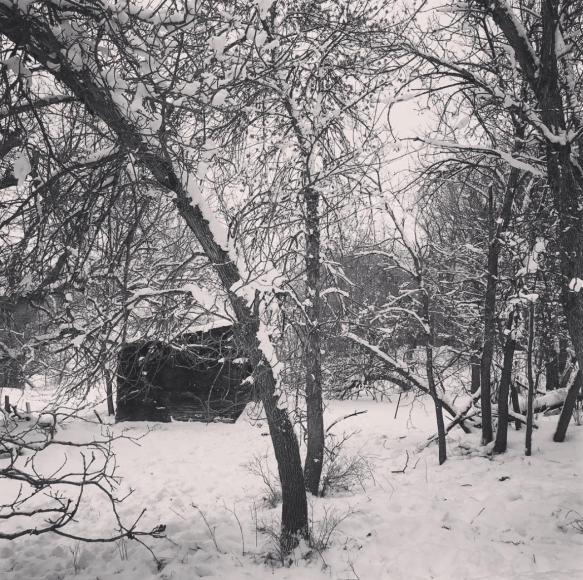 screen-shot-2016-12-12-at-1-13-21-pm