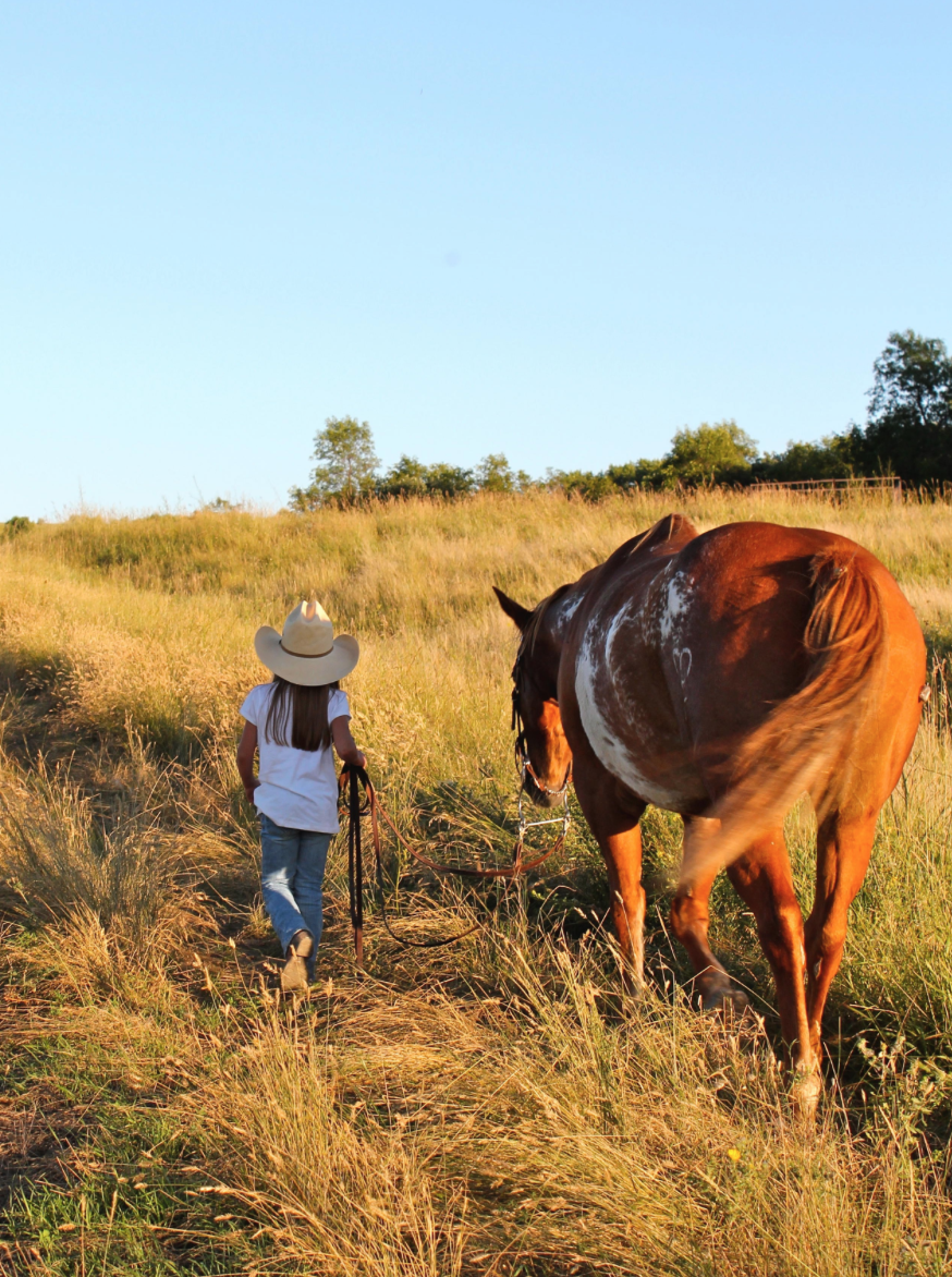 screen-shot-2017-01-16-at-10-21-23-am