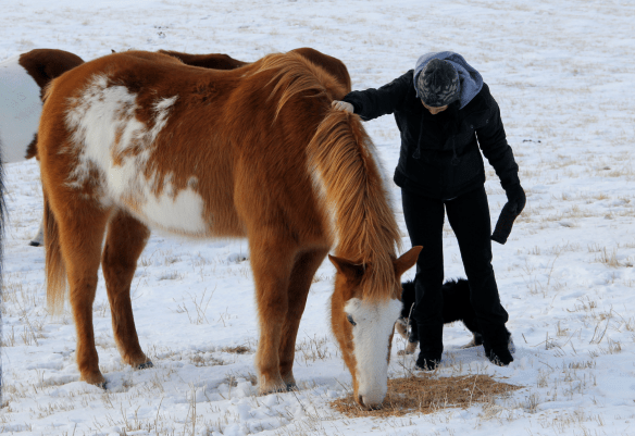 screen-shot-2017-01-16-at-10-28-28-am