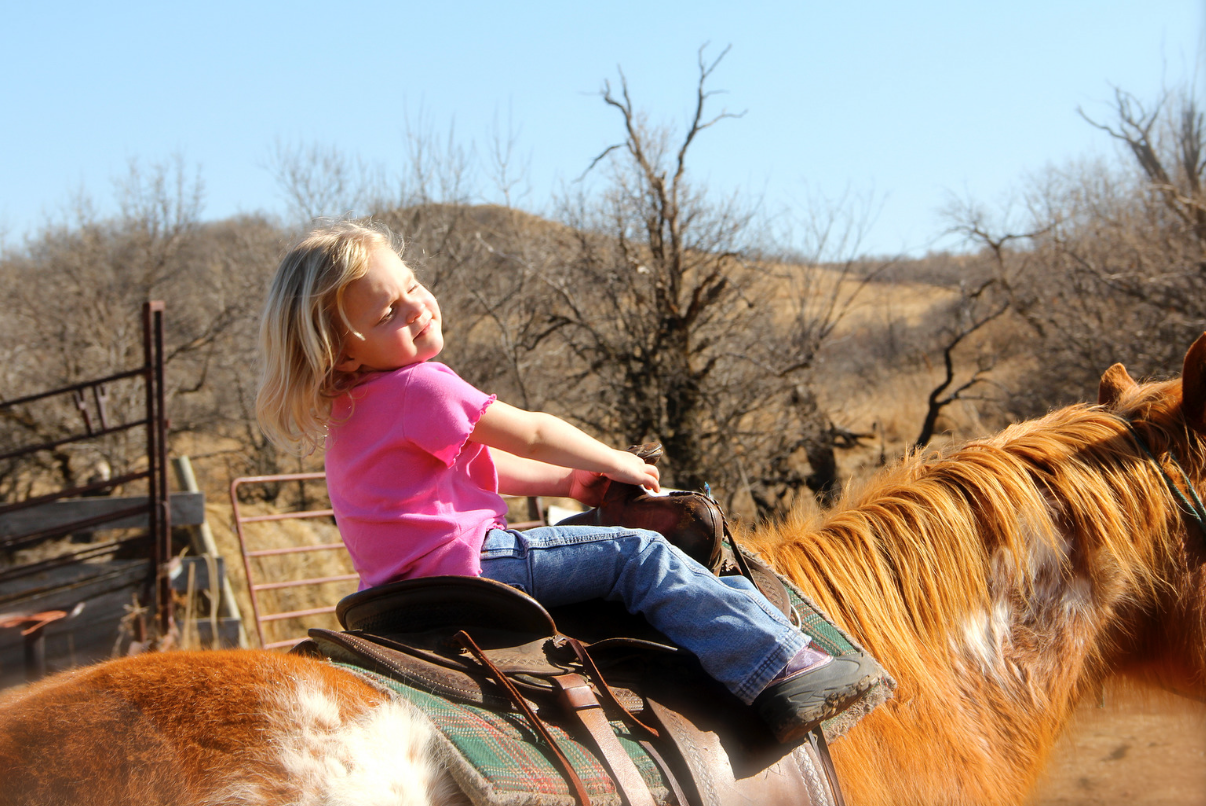 screen-shot-2017-01-16-at-10-28-51-am