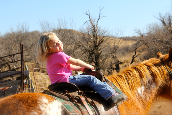 screen-shot-2017-01-16-at-10-28-51-am