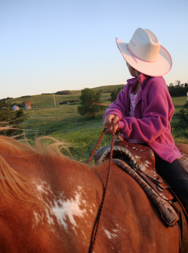 screen-shot-2017-01-16-at-10-33-22-am