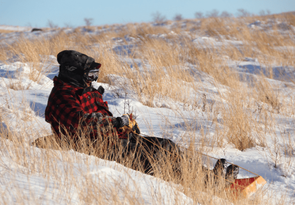 screen-shot-2017-01-30-at-2-17-15-pm