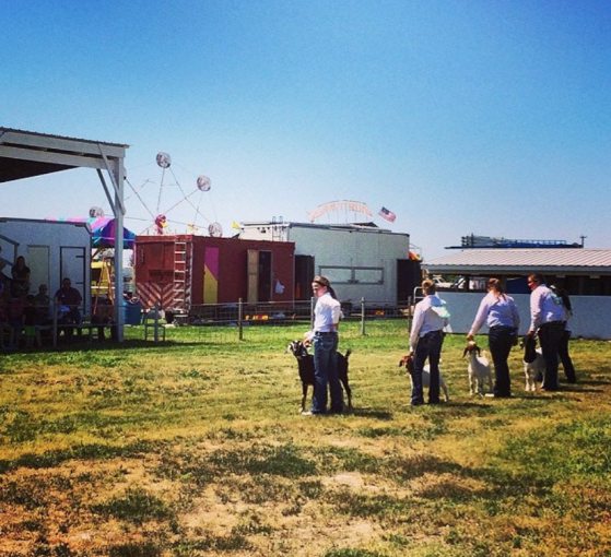 Screen Shot 2017-02-23 at 11.31.04 AM.png