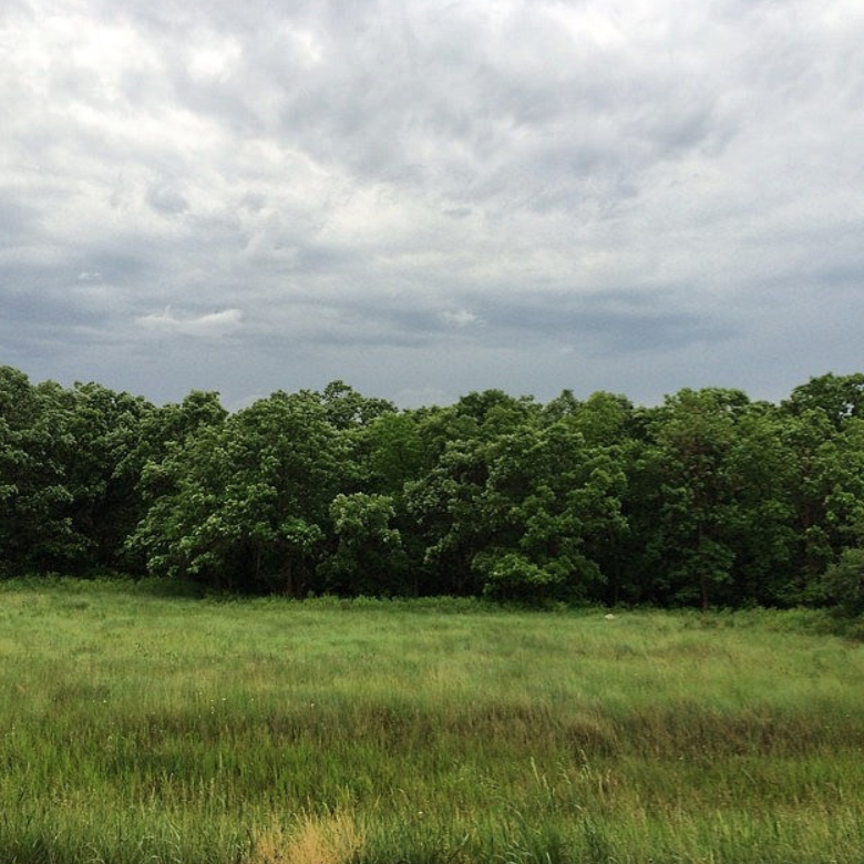 Screen Shot 2017-03-13 at 12.54.07 PM