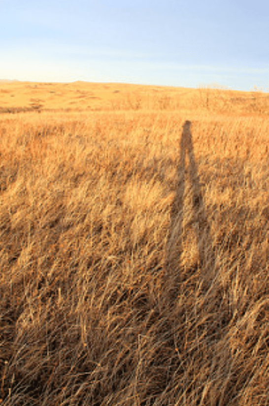 Screen Shot 2017-03-16 at 8.41.13 PM