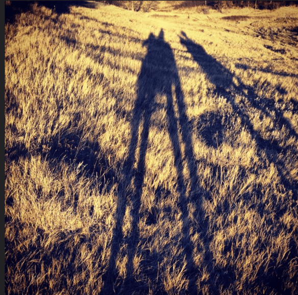 Screen Shot 2017-03-16 at 8.41.21 PM