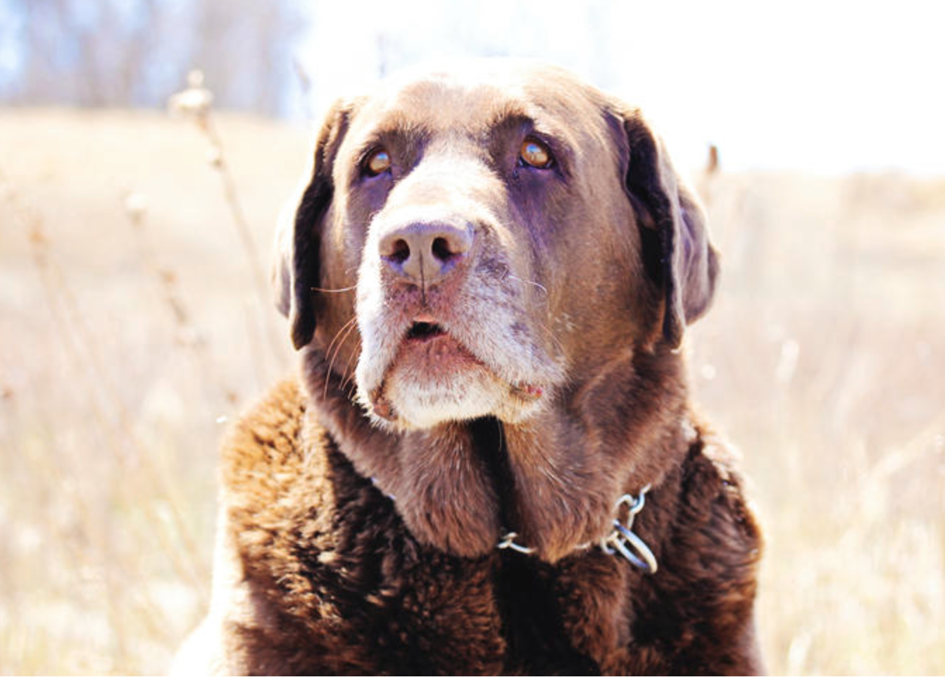 Screen Shot 2017-04-17 at 11.25.25 AM