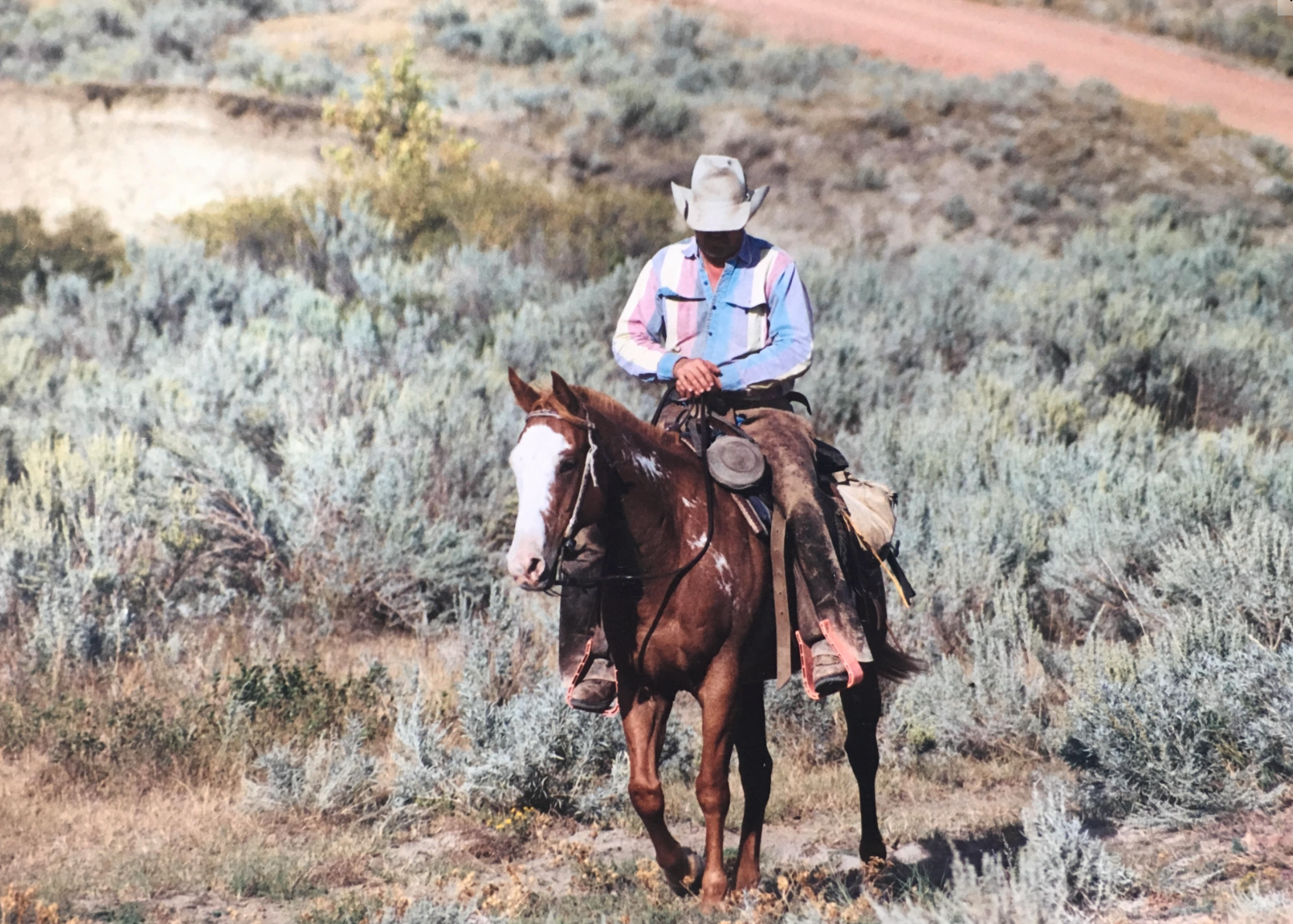 Screen Shot 2017-05-08 at 8.32.01 PM