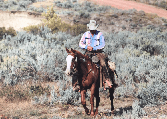 Screen Shot 2017-05-08 at 8.32.01 PM