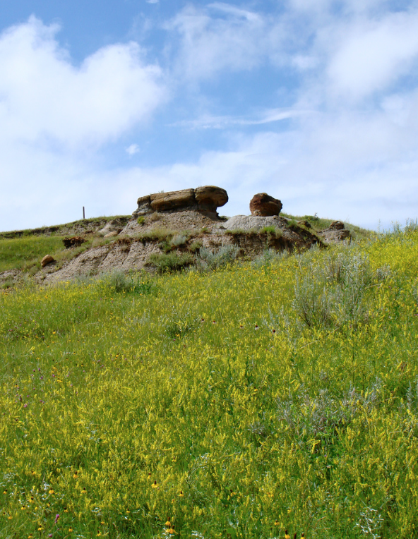 Screen Shot 2017-07-17 at 2.37.21 PM