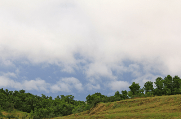 Screen Shot 2017-08-15 at 7.18.27 AM