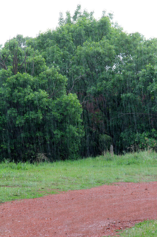 Screen Shot 2017-08-15 at 7.21.12 AM