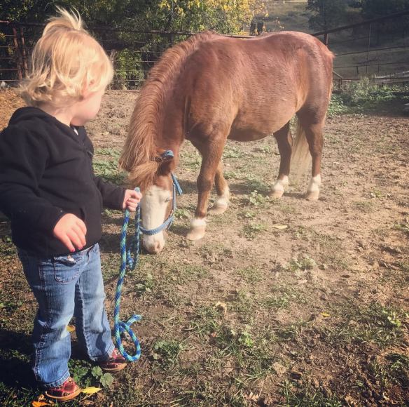 22095931_1612954208754818_4548025317123414515_o