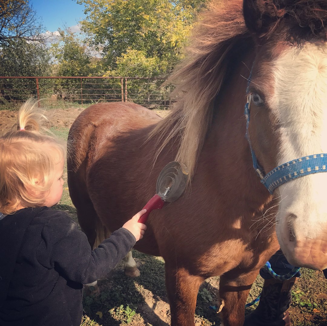 22137233_1612954245421481_6328969328372414050_o