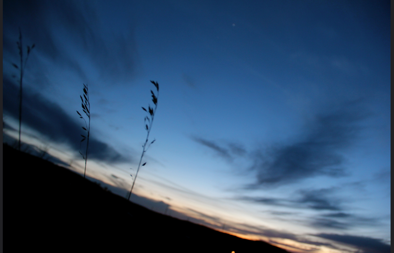 Screen Shot 2017-11-06 at 4.30.08 PM