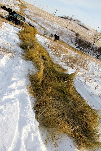 11275746306_147f83d613_z