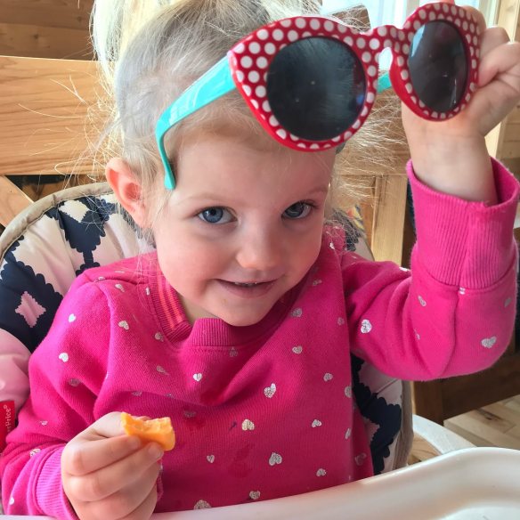 27908045_1747616125288625_448946398655128226_o