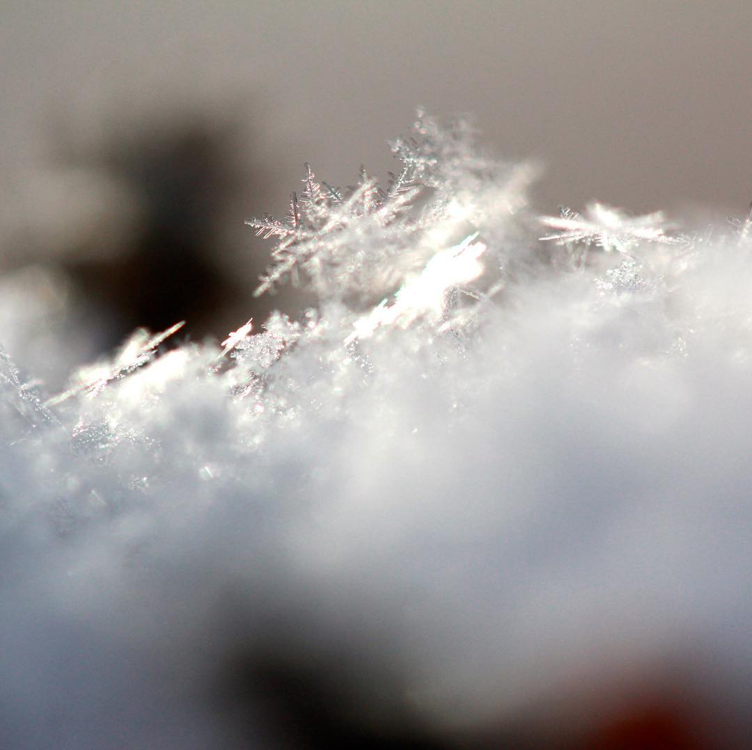 19702586_1789232687793635_7775135062083914310_o