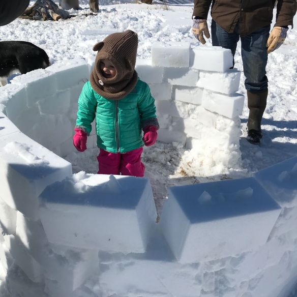 29062605_1776030665780504_5760727702982098944_o