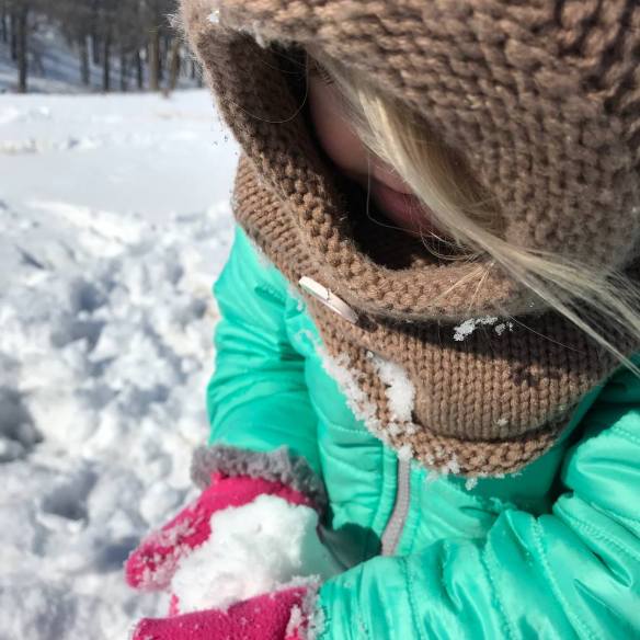 29062978_1776030625780508_5854575126401515520_o