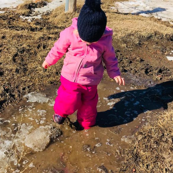 29261226_1782760251774212_9000966411085938688_o