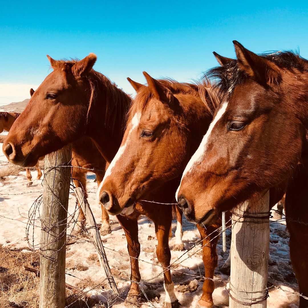 29340444_1782760125107558_2449944453394202624_o