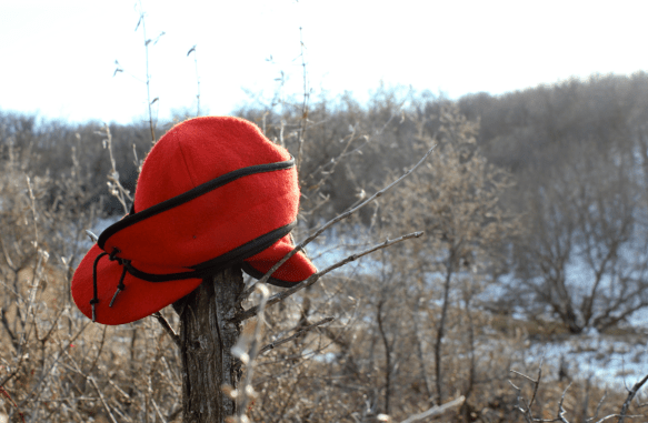 Screen Shot 2018-03-05 at 9.19.20 AM