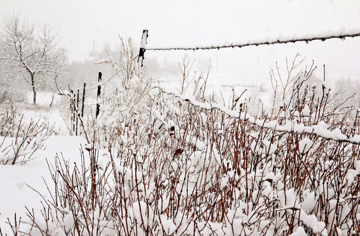 Screen Shot 2018-03-12 at 3.44.57 PM