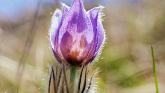 1xhsyrzf7uvwa4b-os-4i5trawzq6p4y